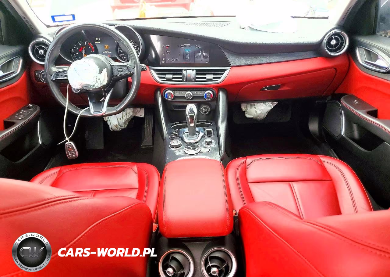 2020 Alfa Romeo Giulia VIN:ZARFAMAN0L7626738 - 8