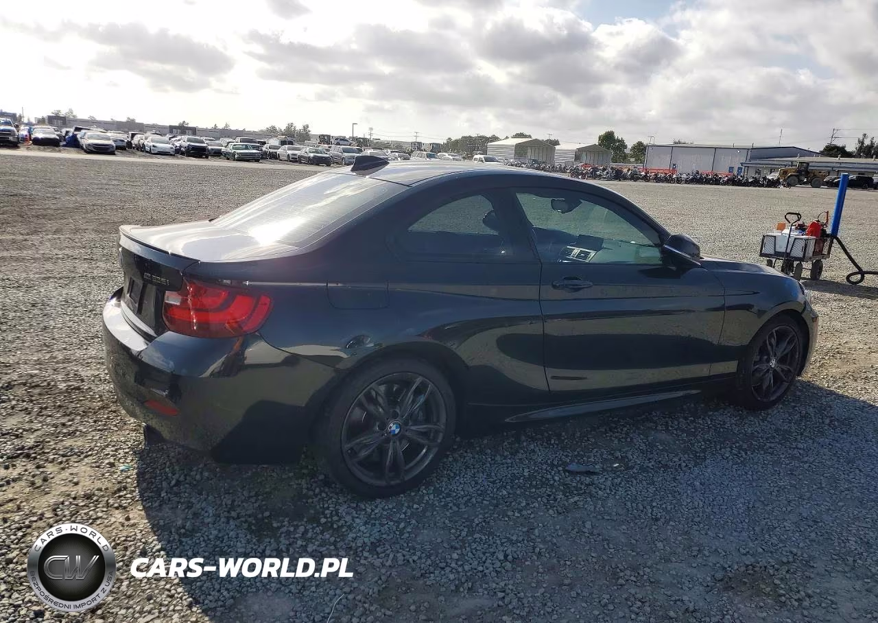 2016 BMW M235Xi VIN:WBA1J9C58GV696629 - 3