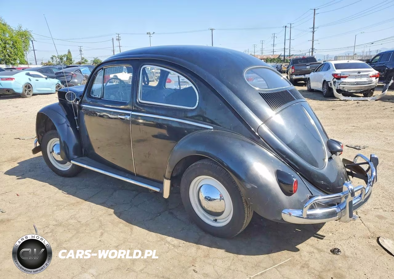 1955 Volkswagen Beetle VIN:10934920 - 2