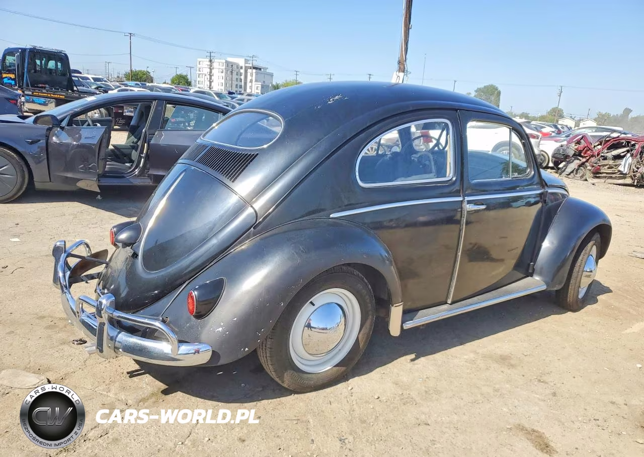 1955 Volkswagen Beetle VIN:10934920 - 3