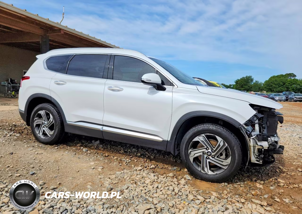 2022 Hyundai Santa Fe Sel VIN:5NMS64AJ4NH406795 - 4