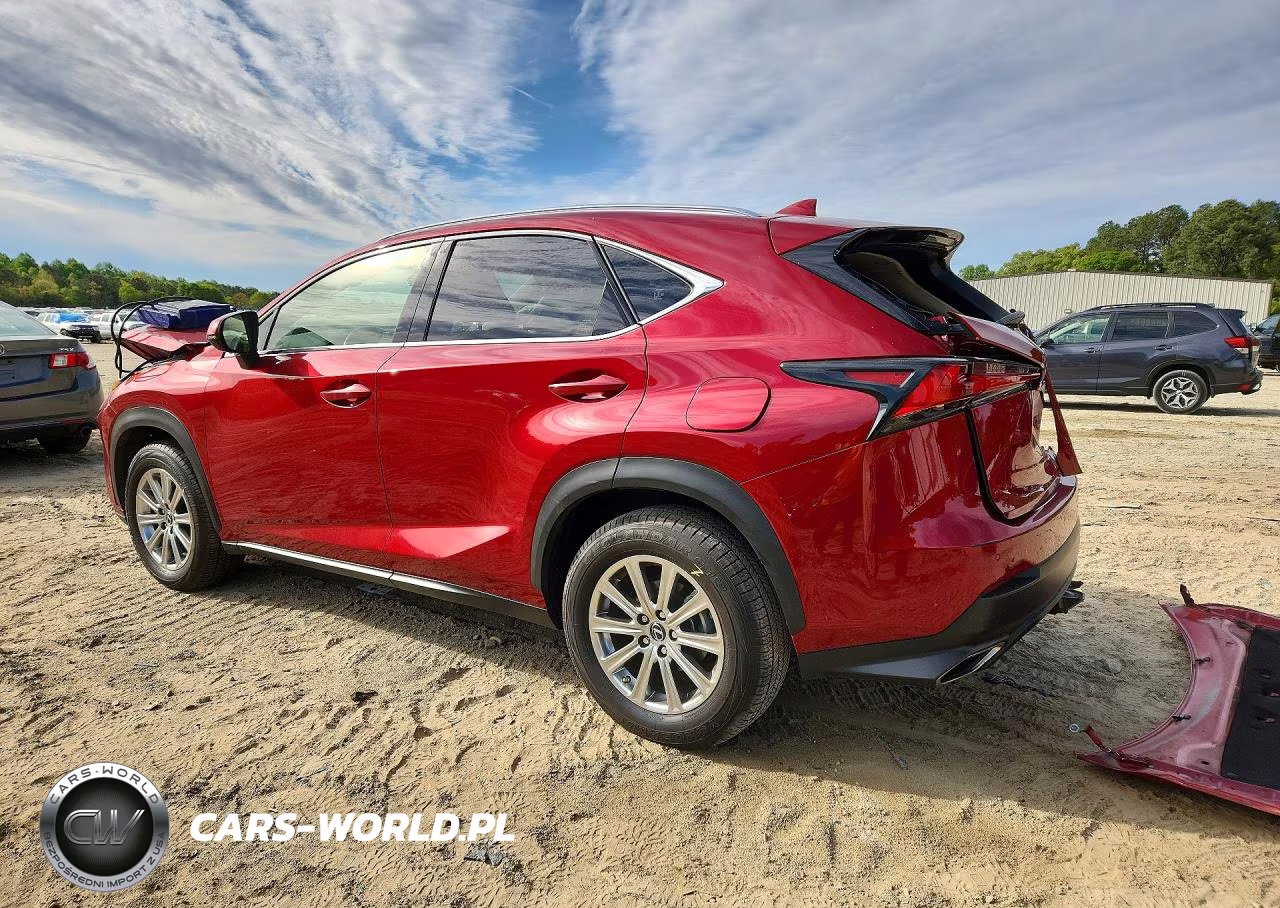 2020 Lexus Nx 300 VIN:JTJDARDZ1L5011184 - 2