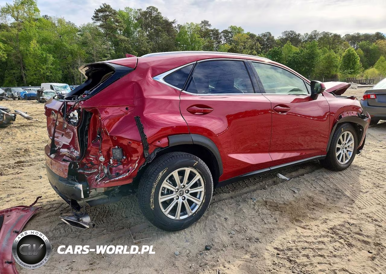 2020 Lexus Nx 300 VIN:JTJDARDZ1L5011184 - 3