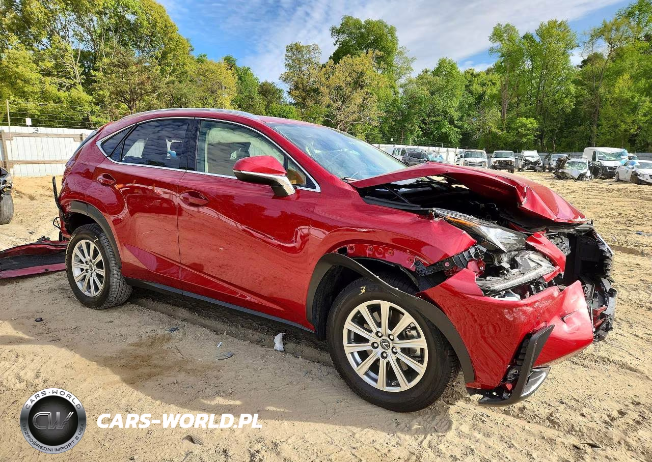 2020 Lexus Nx 300 VIN:JTJDARDZ1L5011184 - 4