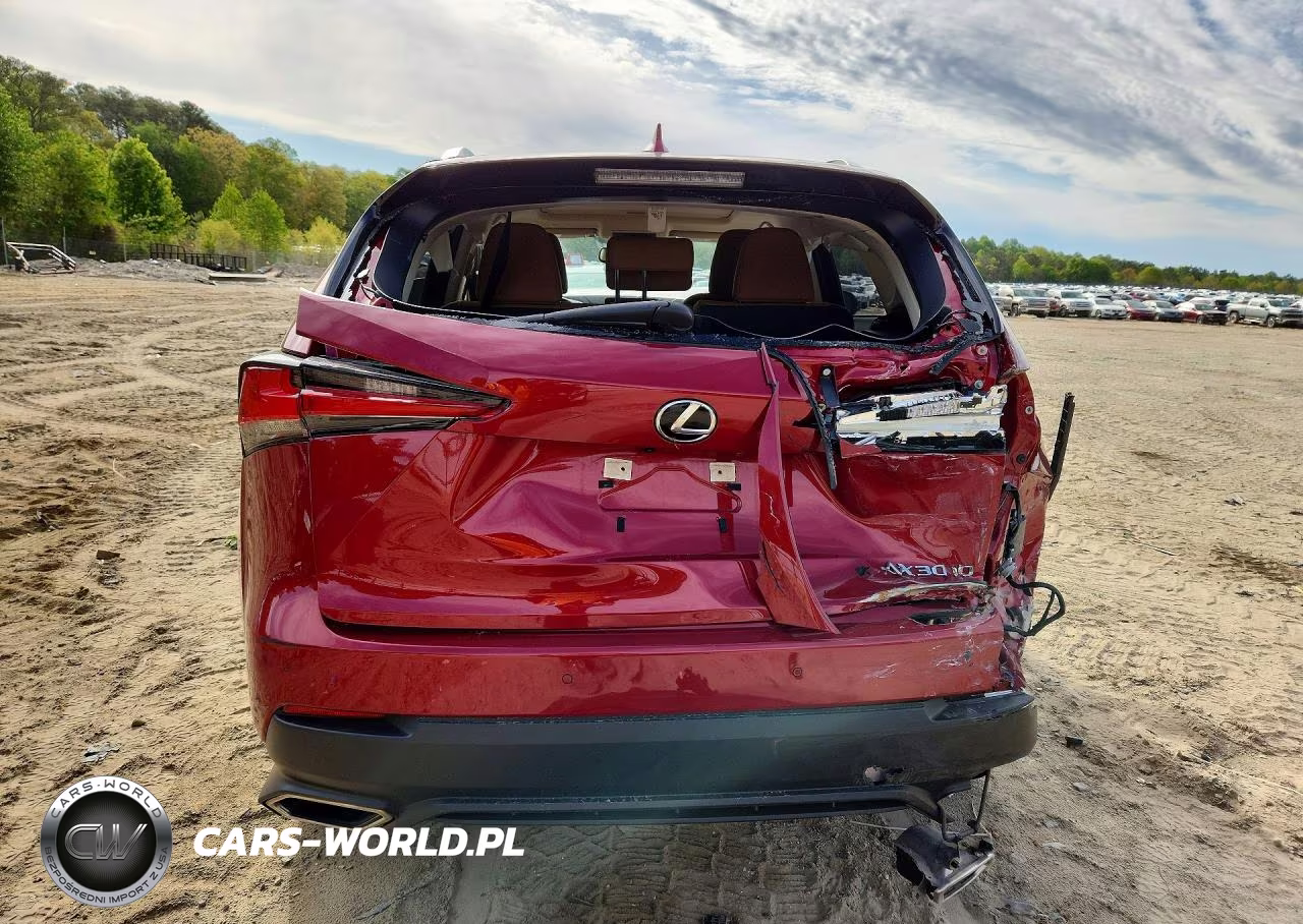 2020 Lexus Nx 300 VIN:JTJDARDZ1L5011184 - 6