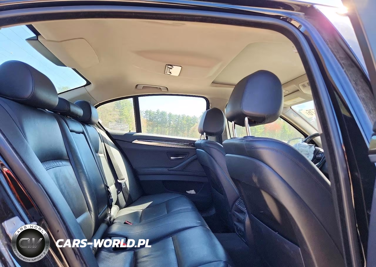 2014 BMW 528 Xi VIN:WBA5A7C51ED219887 - 10