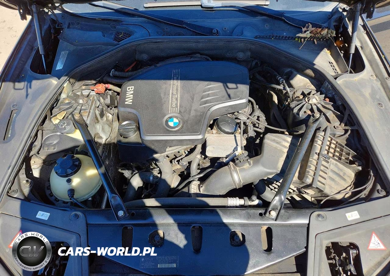 2014 BMW 528 Xi VIN:WBA5A7C51ED219887 - 11