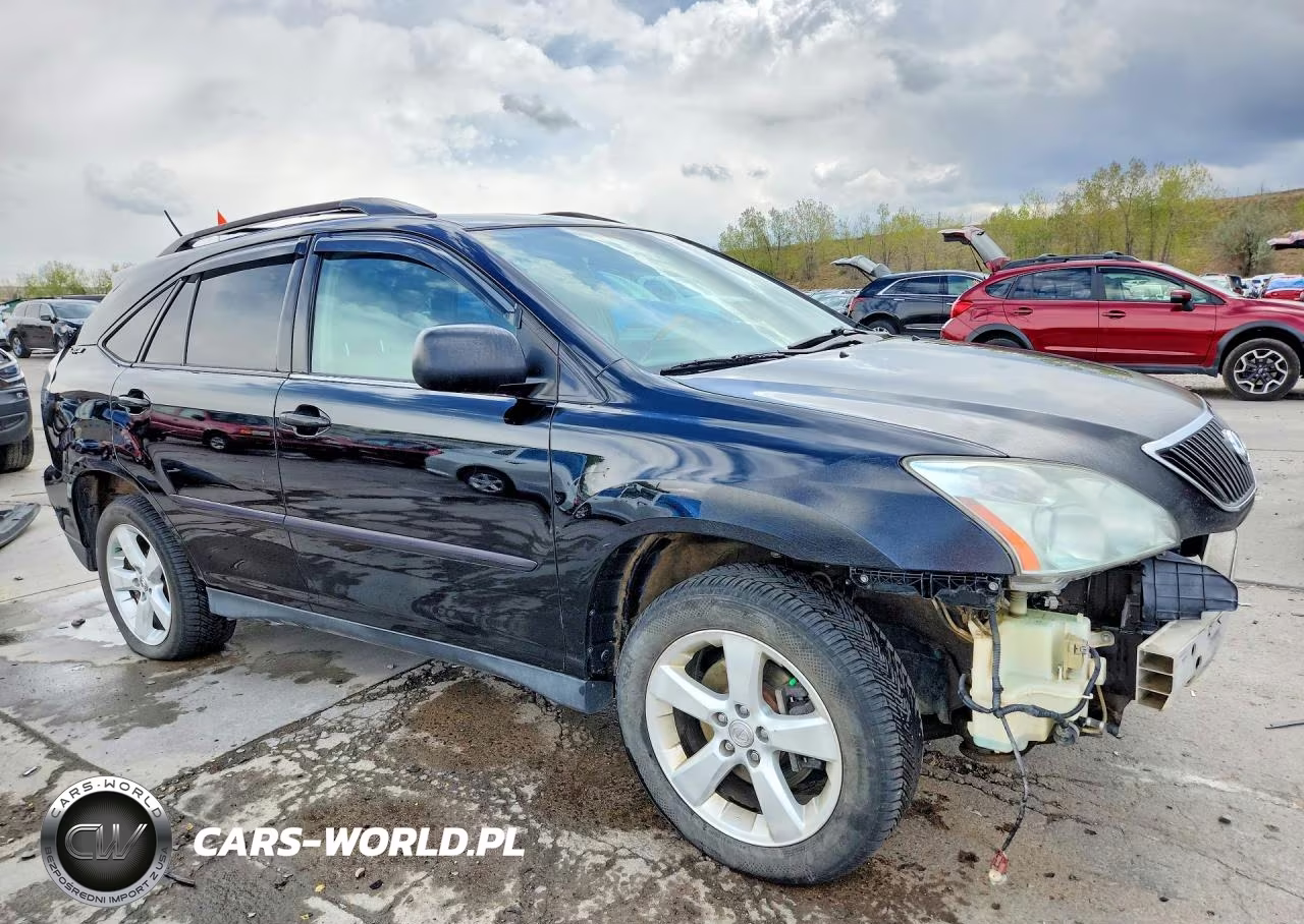 2004 Lexus Rx 330 VIN:2T2HA31U24C026920 - 4
