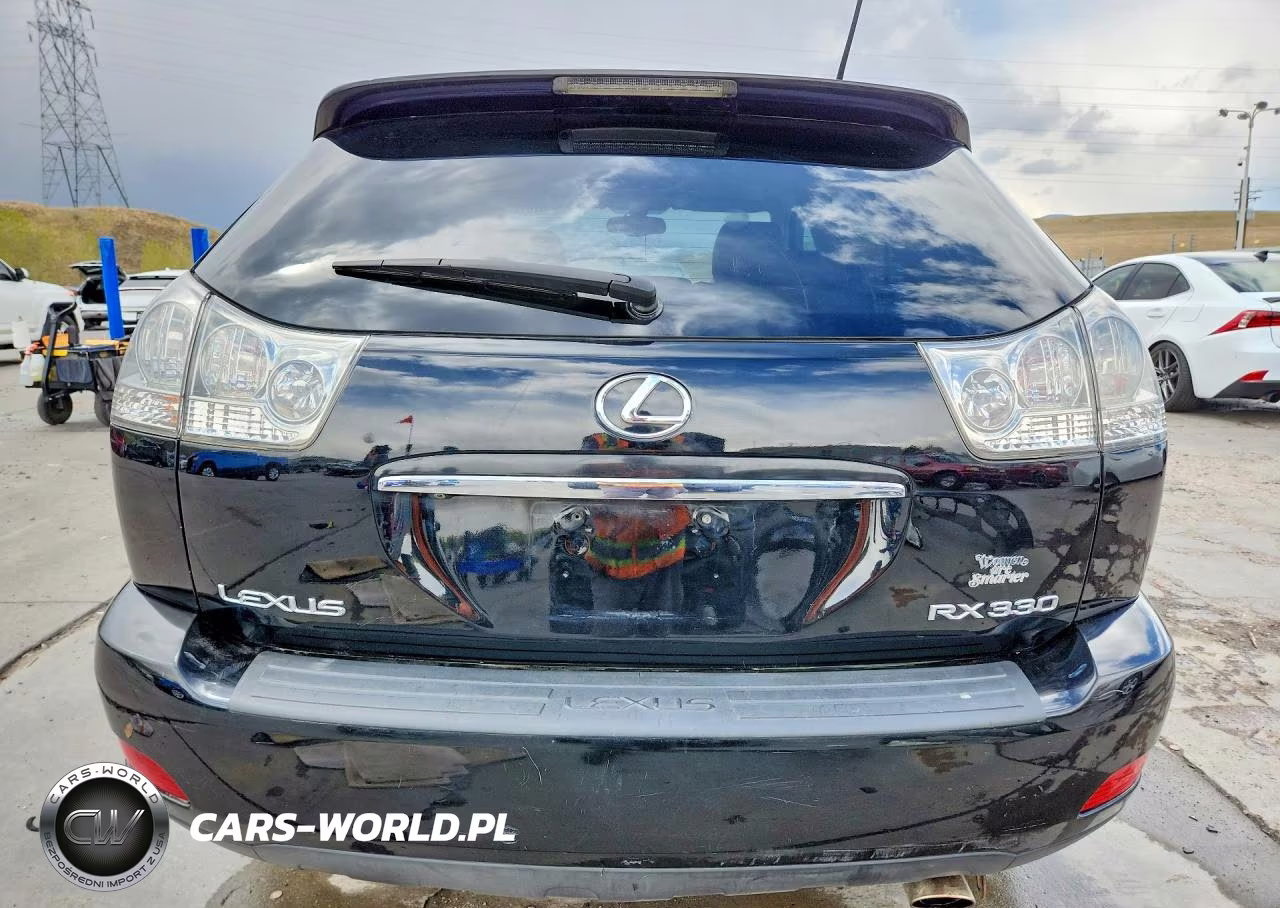 2004 Lexus Rx 330 VIN:2T2HA31U24C026920 - 6