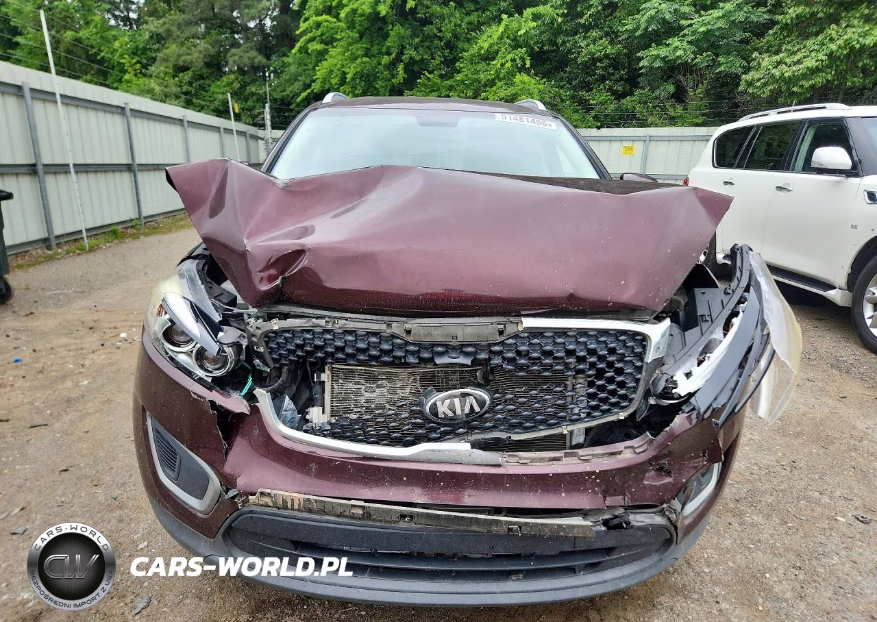 2017 Kia Sorento VIN:5XYPG4A32HG298048 - 5