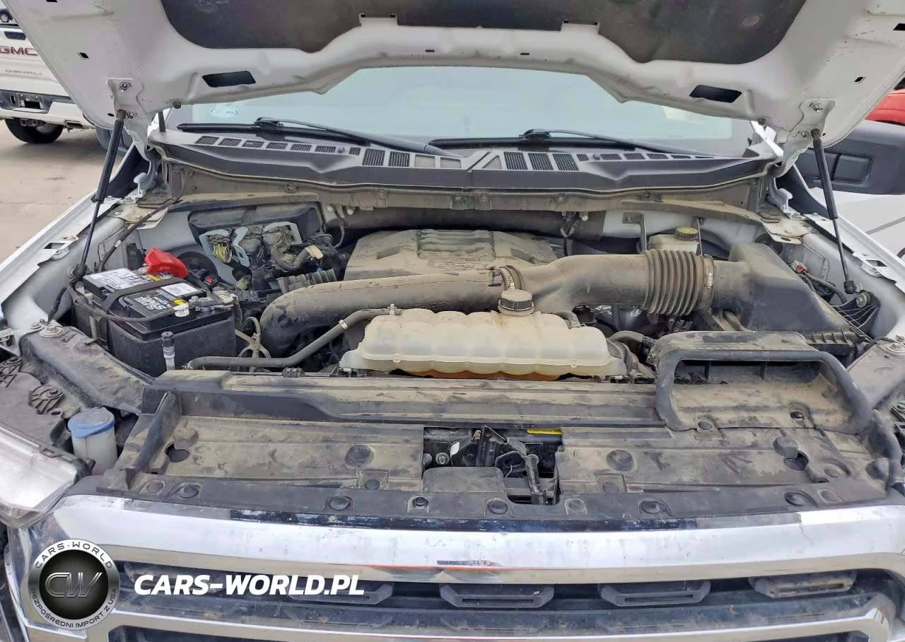 2023 Ford F150 VIN:1FTFW1E85PKD10298 - 11