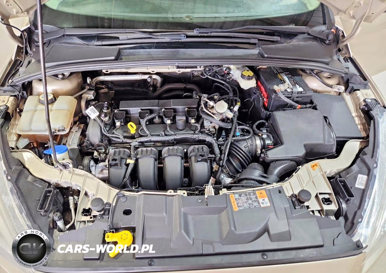 2017 Ford Focus Se VIN:1FADP3K21HL318335 - 11