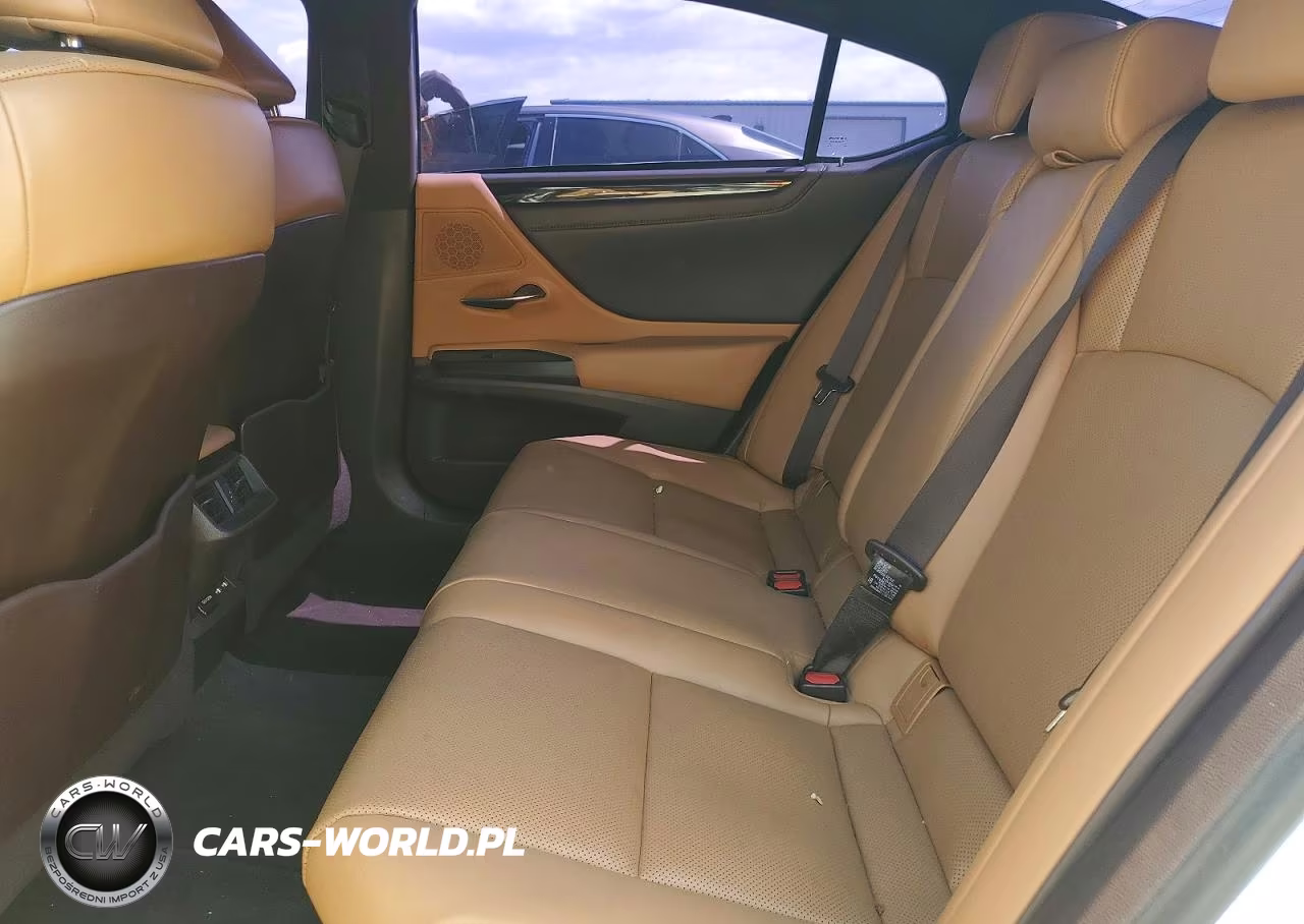 2021 Lexus Es 300H VIN:58ADA1C1XMU003886 - 10