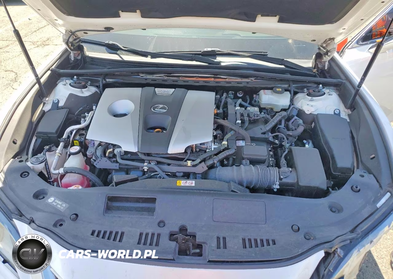 2021 Lexus Es 300H VIN:58ADA1C1XMU003886 - 11