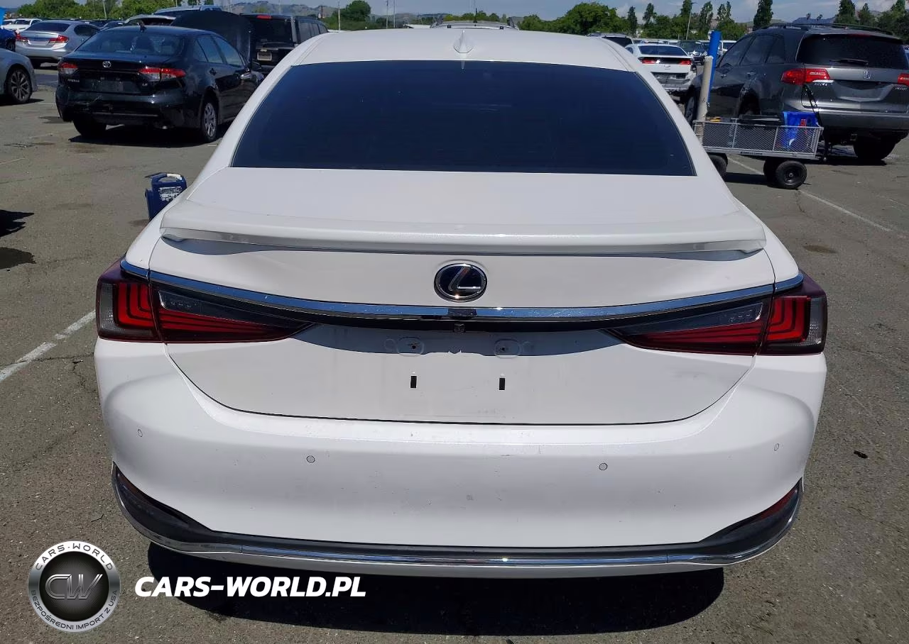 2021 Lexus Es 300H VIN:58ADA1C1XMU003886 - 6