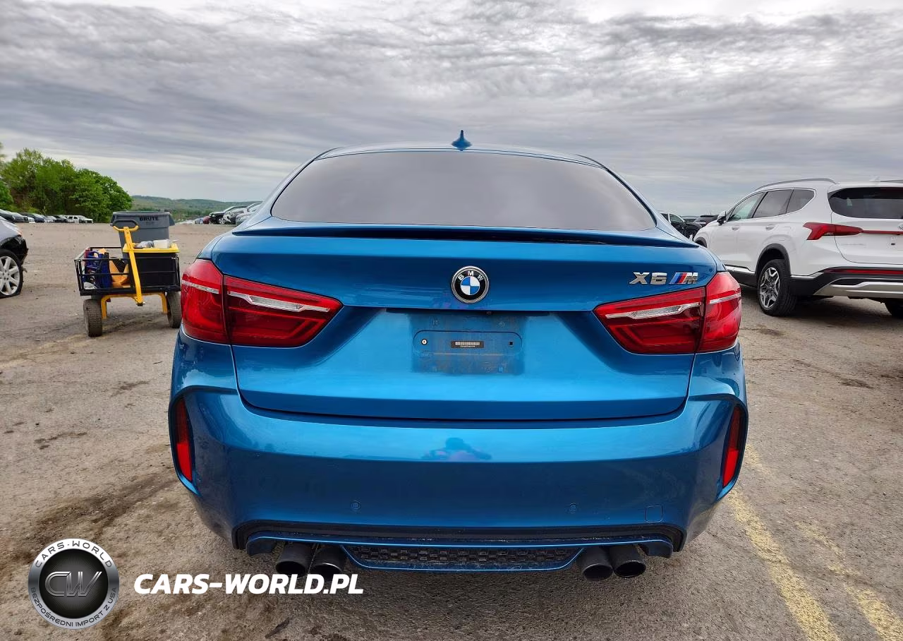2018 BMW X6 M VIN:5YMKW8C50J0Y74709 - 6