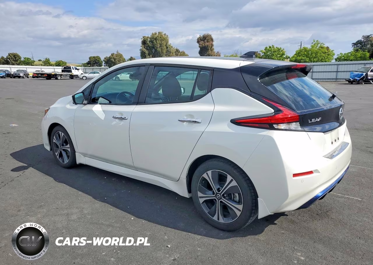 2020 Nissan Leaf Sv VIN:1N4AZ1CP8LC301732 - 2
