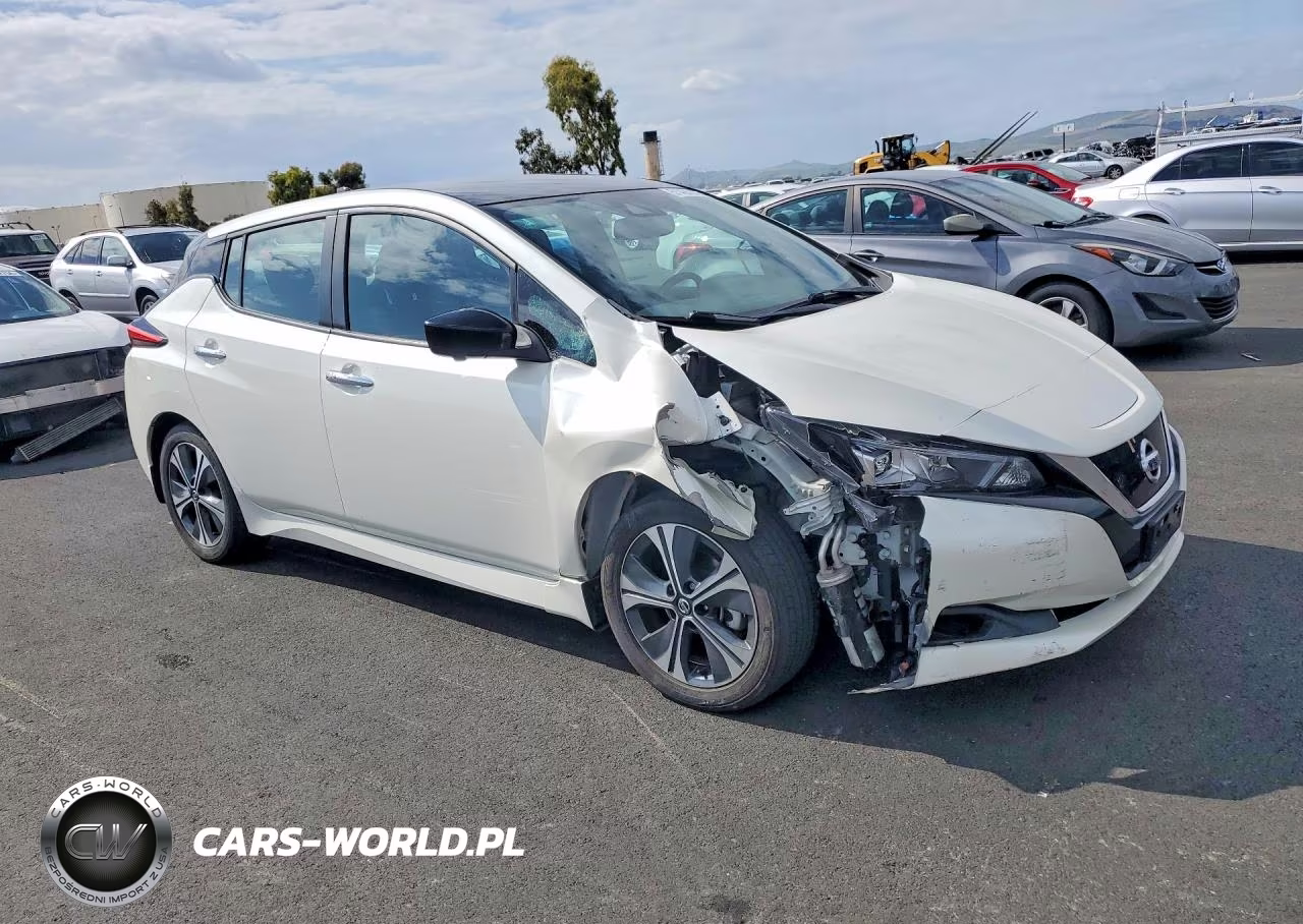 2020 Nissan Leaf Sv VIN:1N4AZ1CP8LC301732 - 4