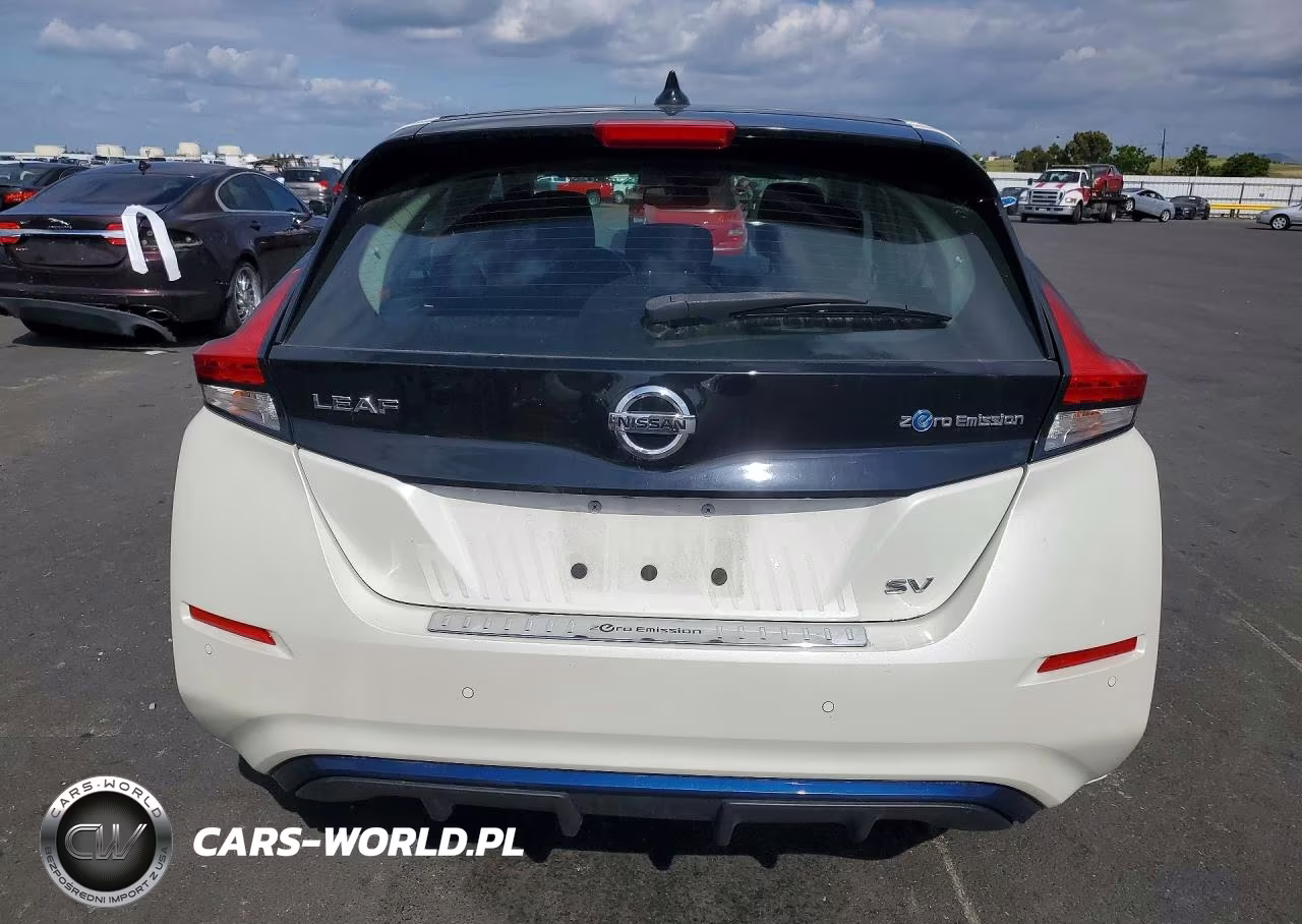 2020 Nissan Leaf Sv VIN:1N4AZ1CP8LC301732 - 6