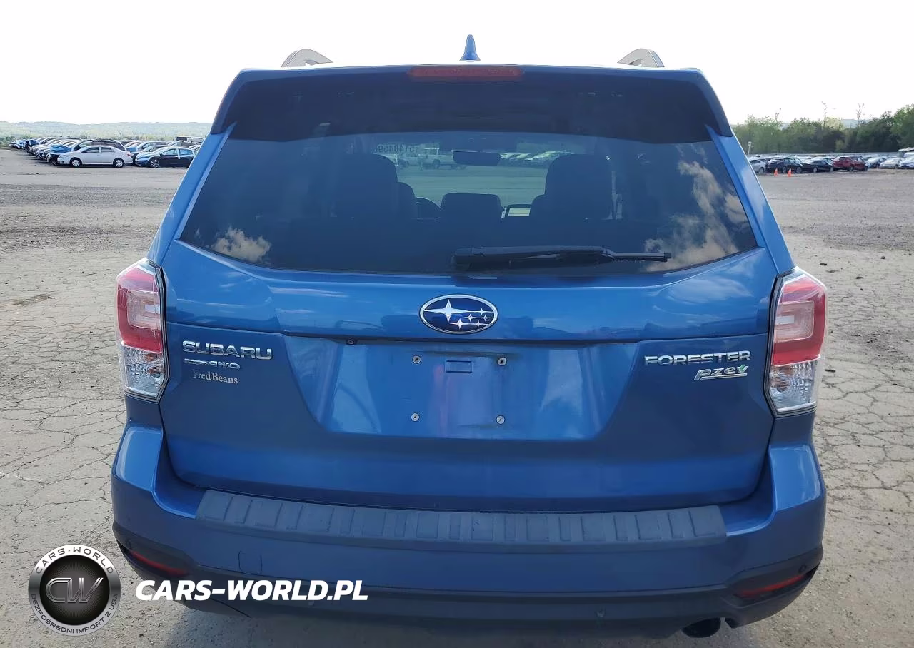 2017 Subaru Forester 2.5I Touring VIN:JF2SJAWC0HH453630 - 6