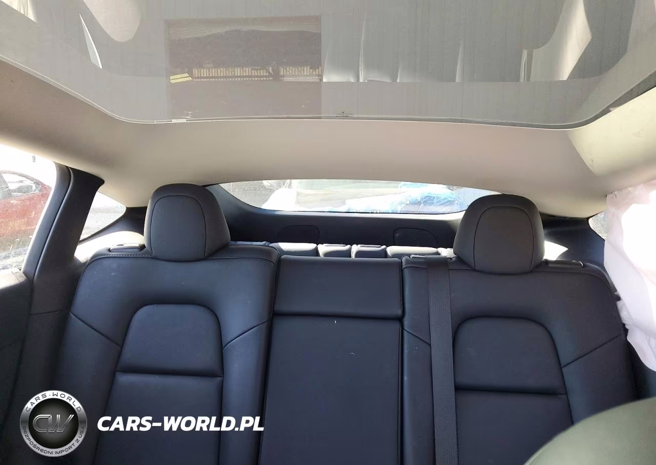 2023 Tesla Model Y VIN:7SAYGAEE0PF774434 - 10