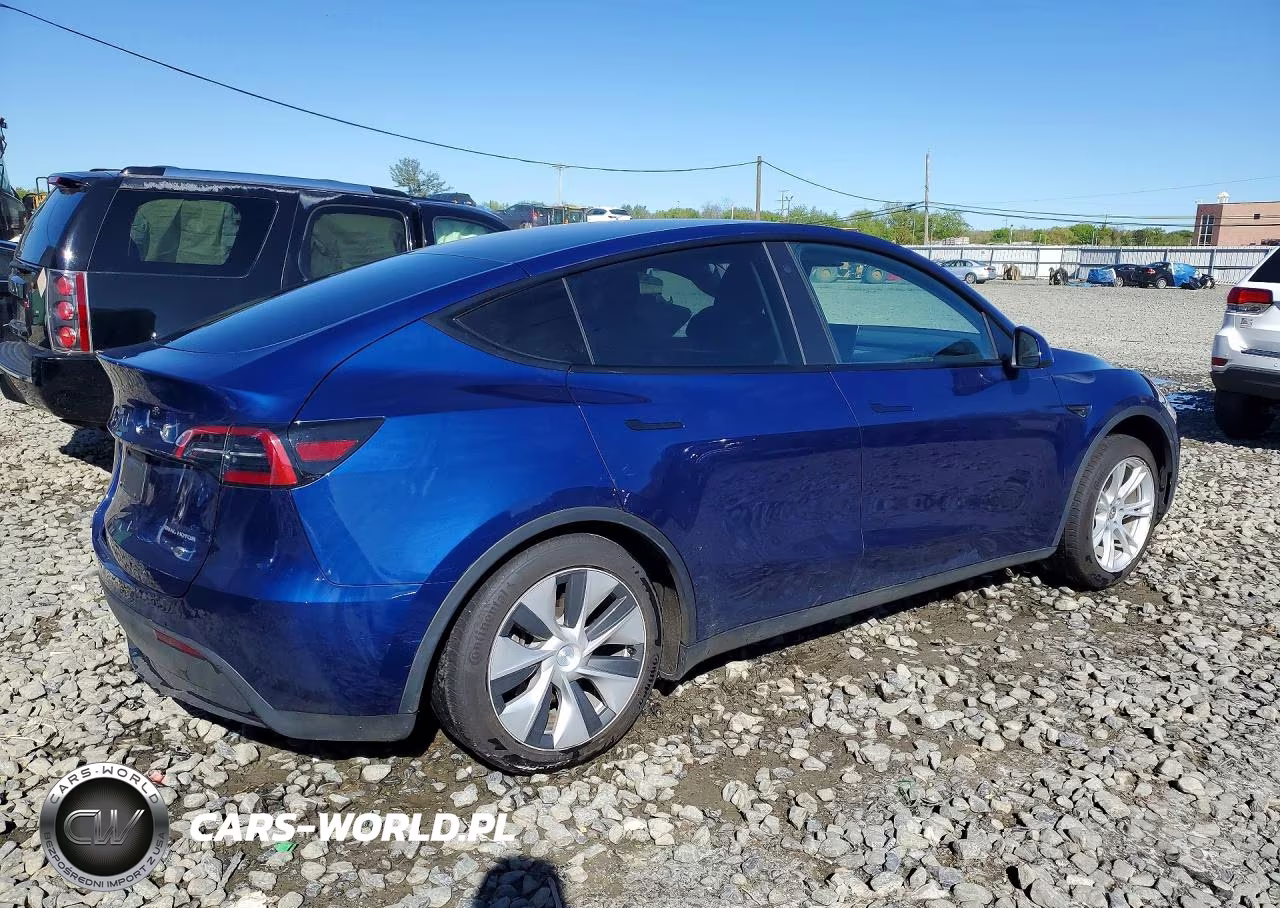 2023 Tesla Model Y VIN:7SAYGAEE0PF774434 - 3