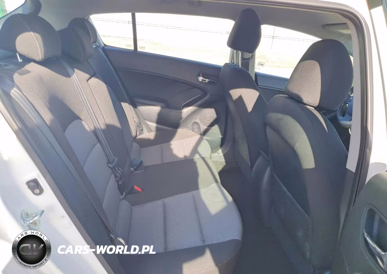 2016 Kia Forte Lx VIN:KNAFK5A85G5584024 - 10