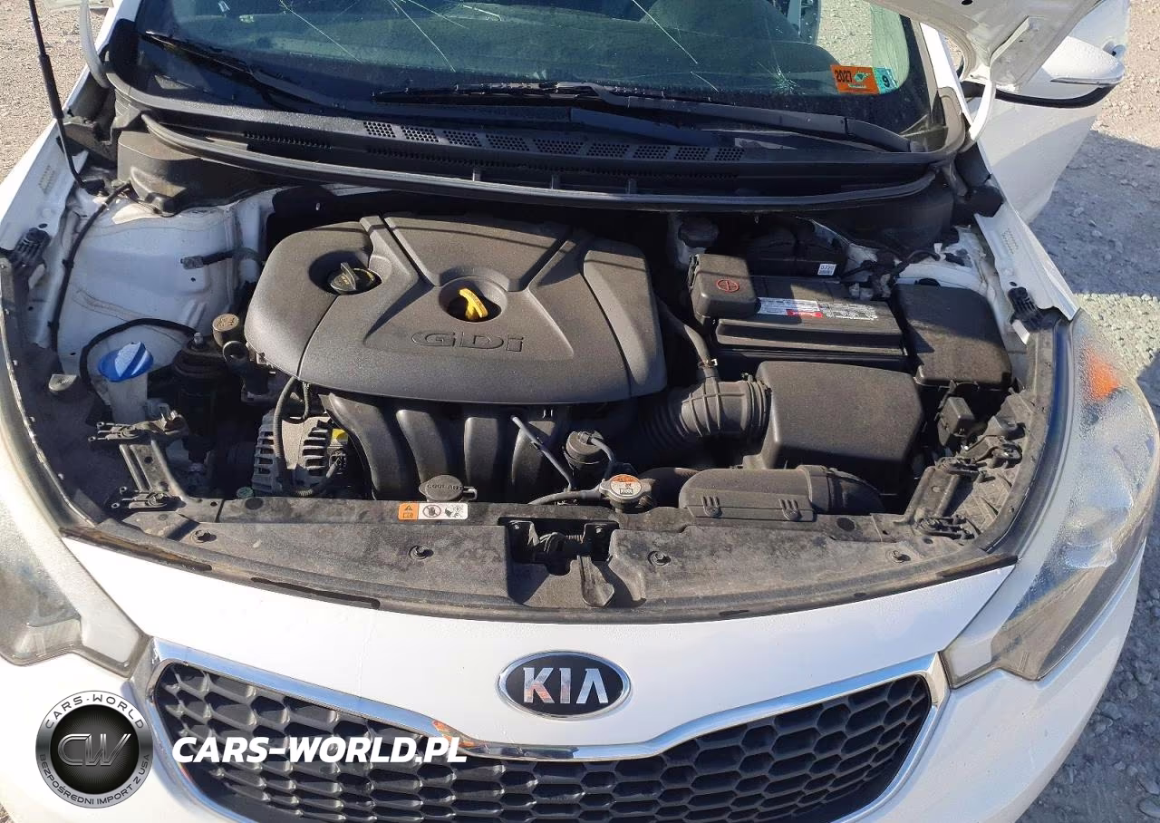 2016 Kia Forte Lx VIN:KNAFK5A85G5584024 - 11