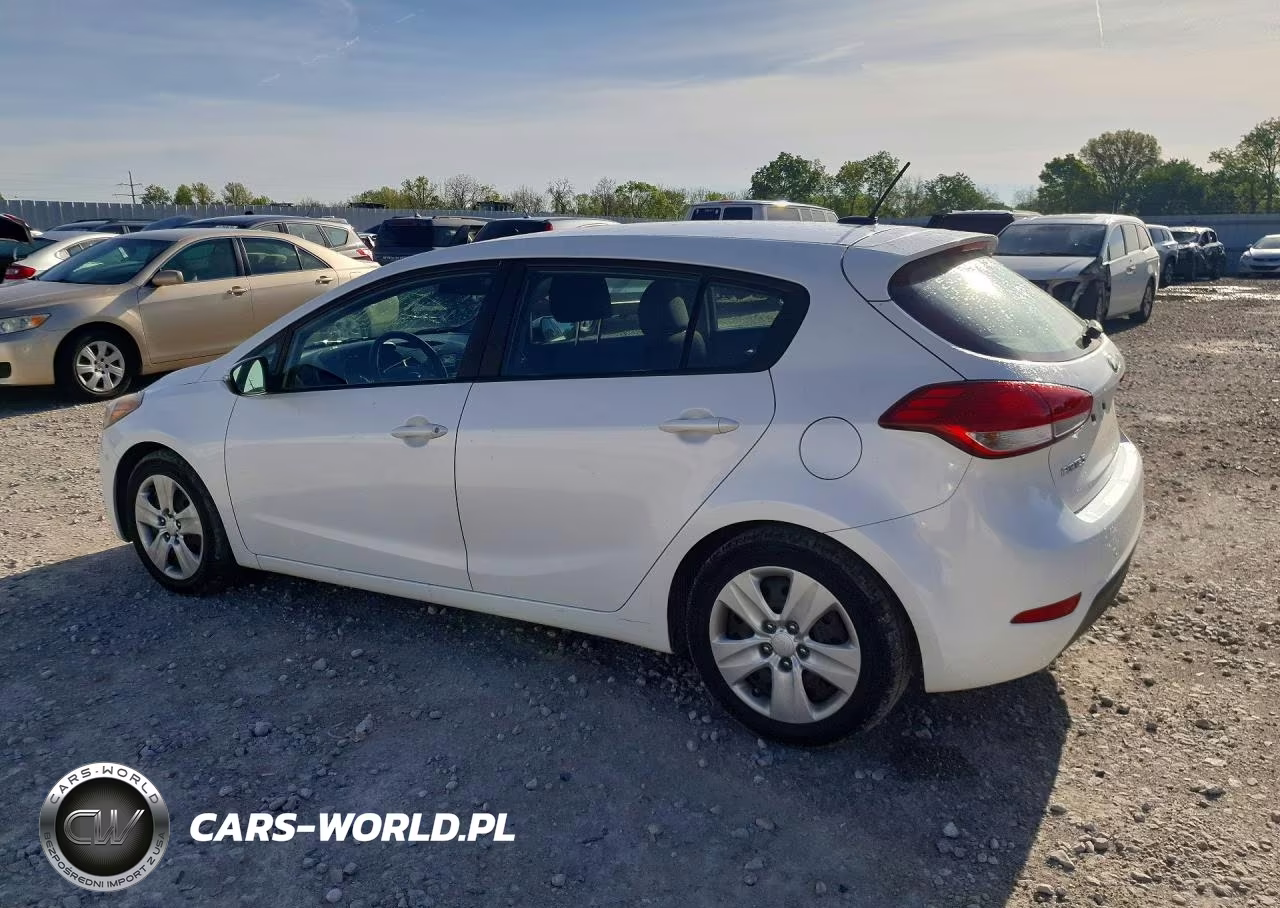 2016 Kia Forte Lx VIN:KNAFK5A85G5584024 - 2