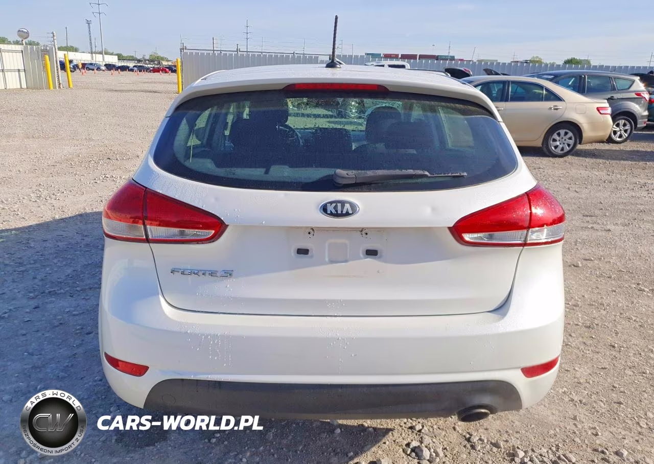 2016 Kia Forte Lx VIN:KNAFK5A85G5584024 - 6