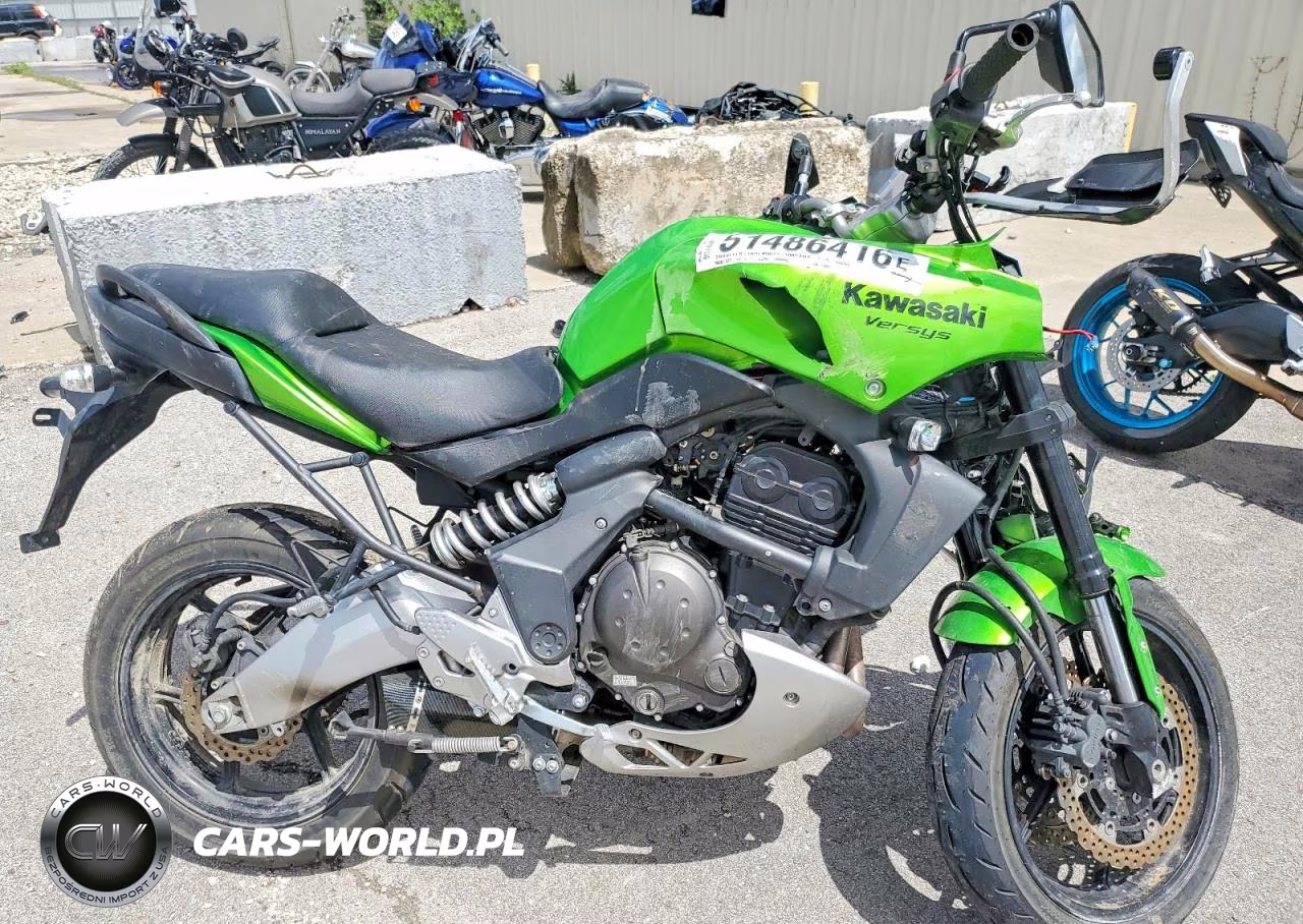 2009 Kawasaki Le650 A
