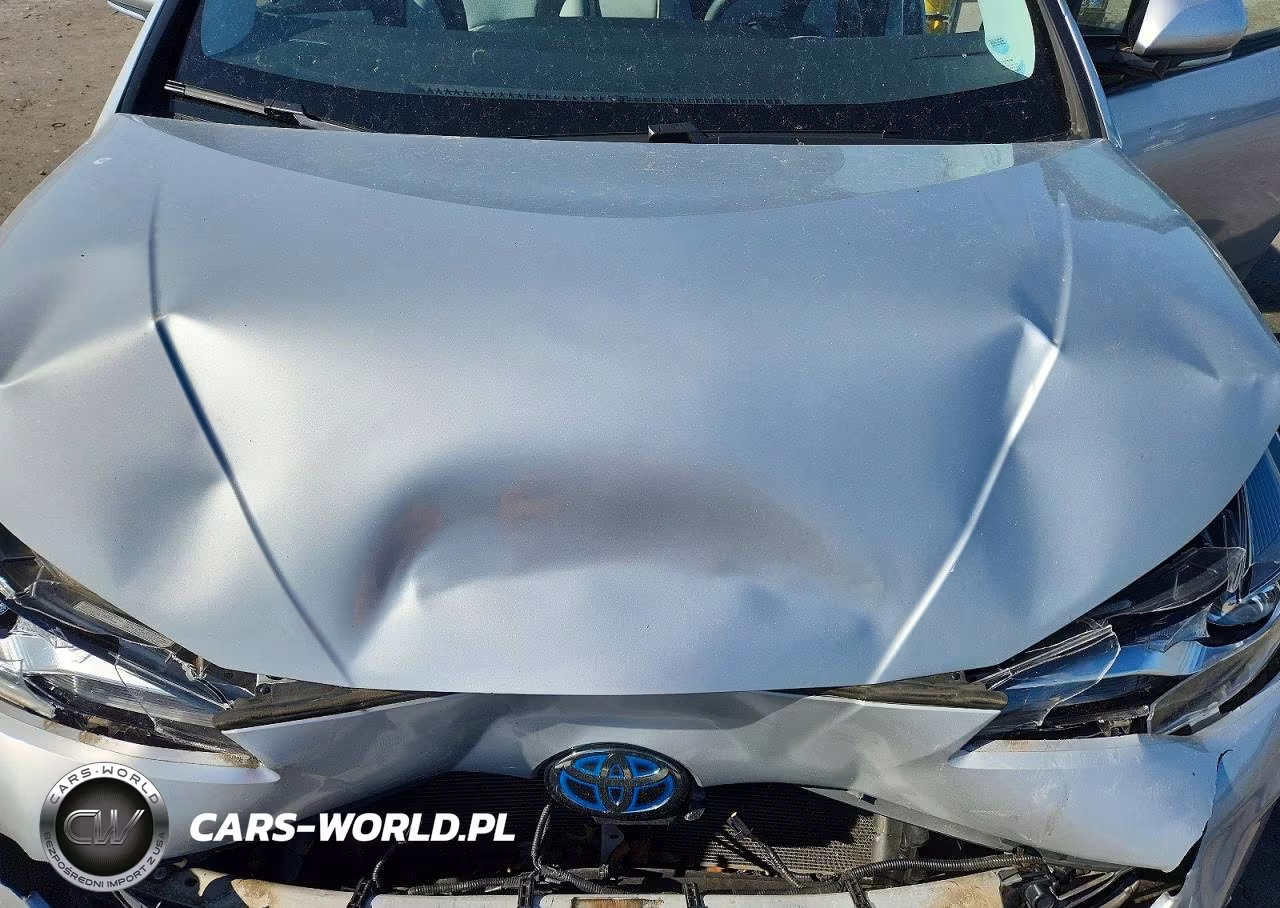 2019 Toyota Prius Le VIN:JTDKARFU5K3098951 - 11