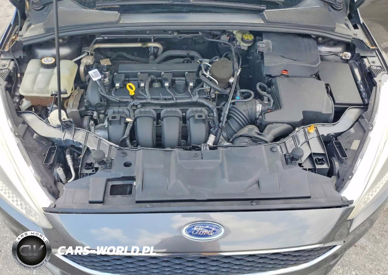 2015 Ford Focus Se VIN:1FADP3F22FL385307 - 11