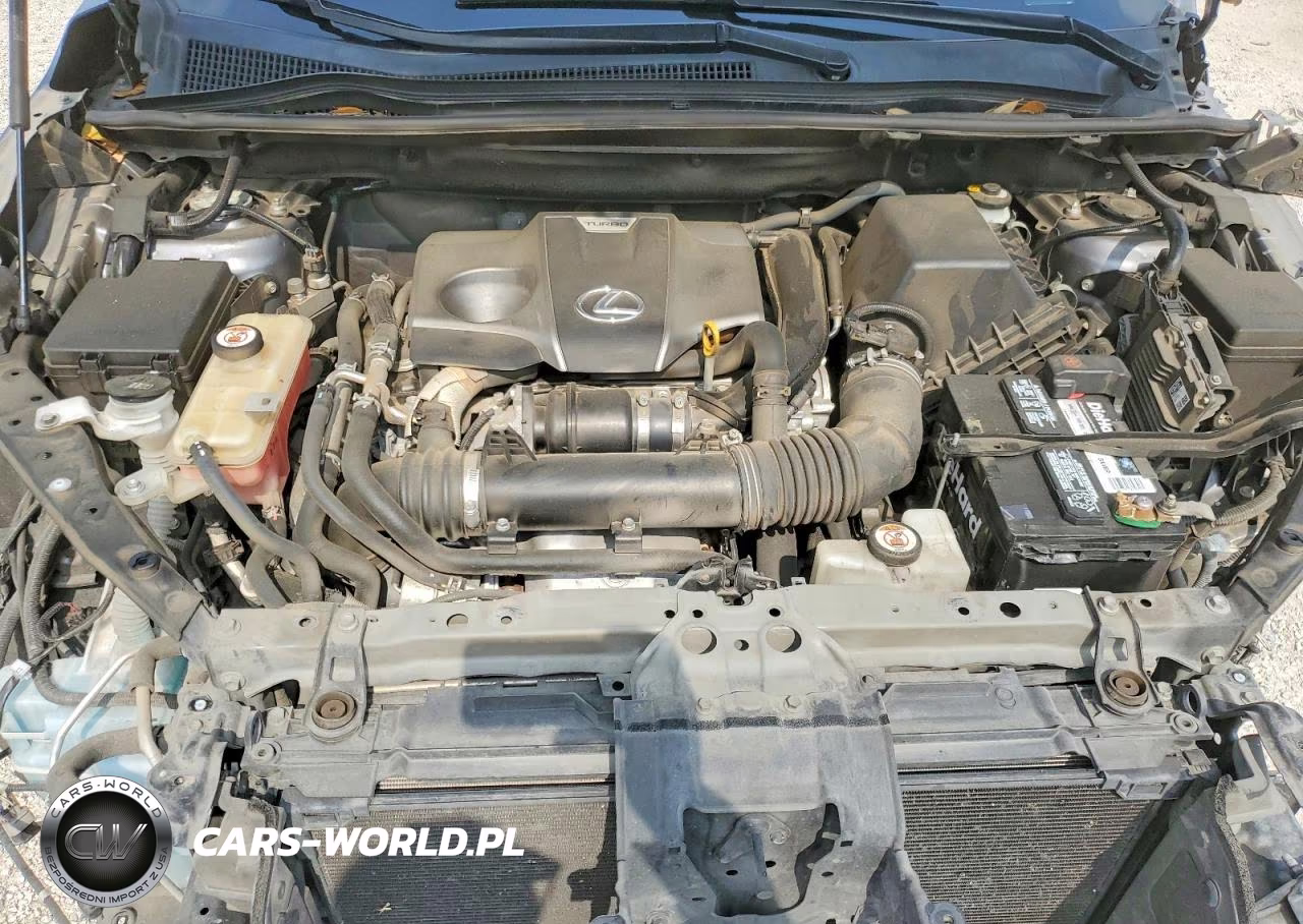 2020 Lexus Nx 300 VIN:JTJGARBZ3L2174372 - 11