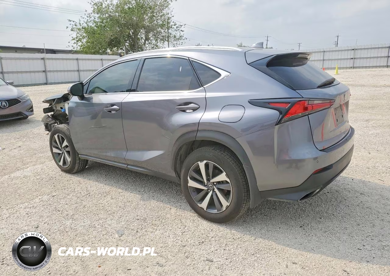 2020 Lexus Nx 300 VIN:JTJGARBZ3L2174372 - 2