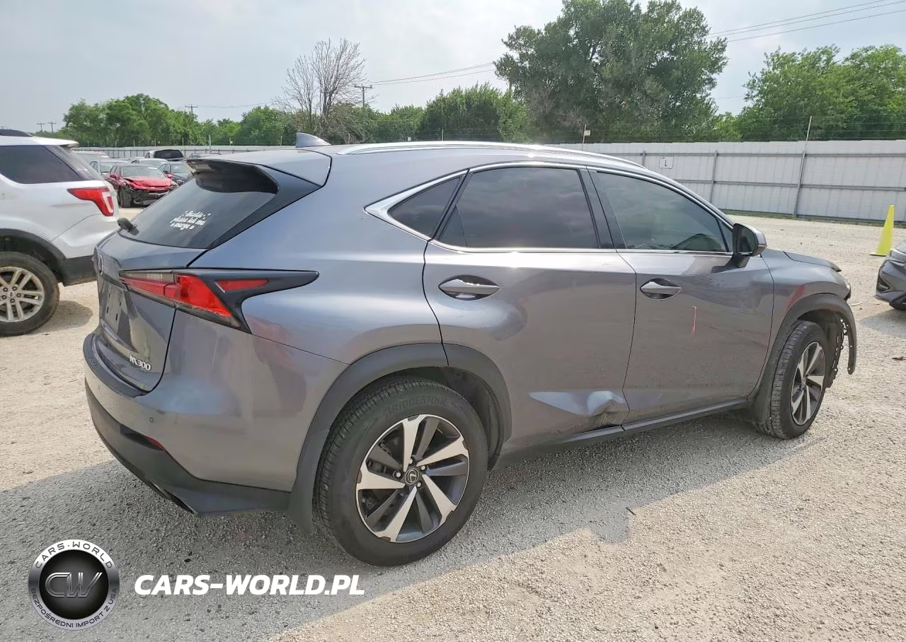 2020 Lexus Nx 300 VIN:JTJGARBZ3L2174372 - 3