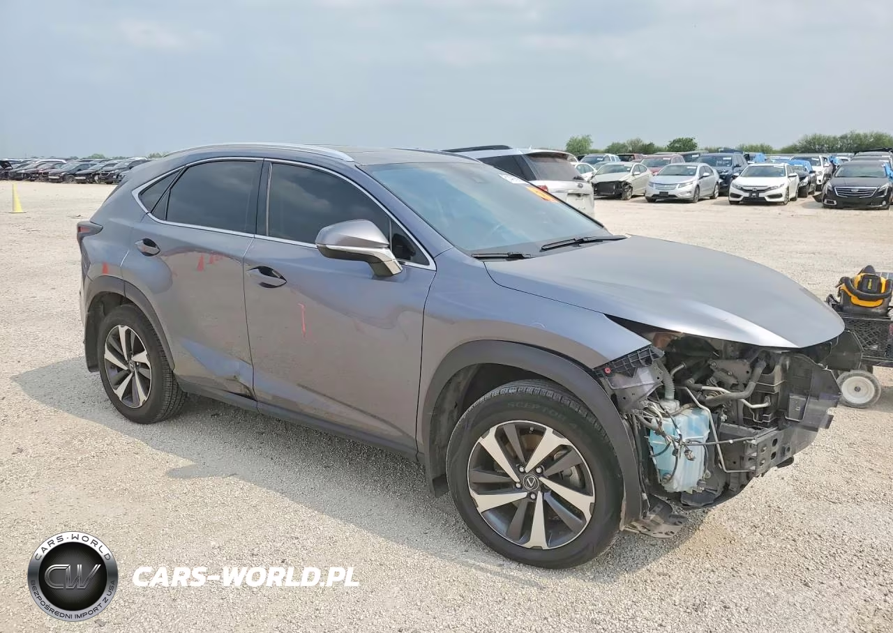 2020 Lexus Nx 300 VIN:JTJGARBZ3L2174372 - 4