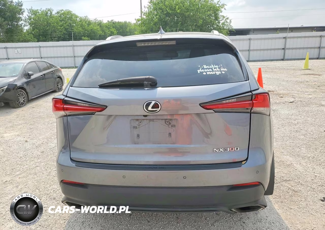 2020 Lexus Nx 300 VIN:JTJGARBZ3L2174372 - 6