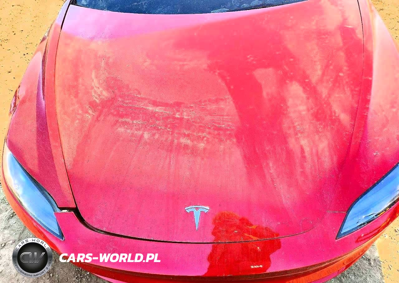 2025 Tesla Model 3 VIN:5YJ3E1EA1SF068267 - 11