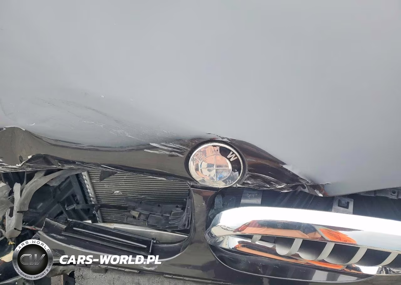 2019 BMW X3 Sdrive30I VIN:5UXTR7C5XKLF32541 - 12