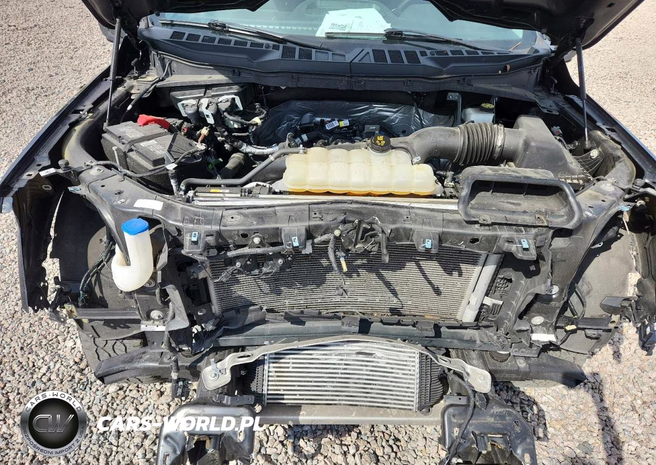 2024 Ford F150 Xlt VIN:1FTEW3LP0RKD93370 - 11
