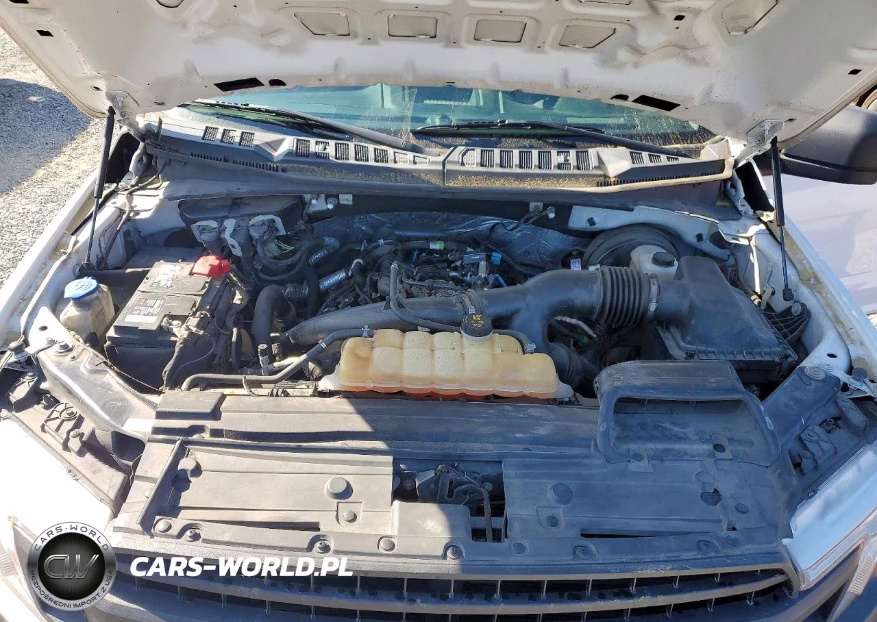 2019 Ford F150 VIN:1FTMF1CP7KKC51989 - 11