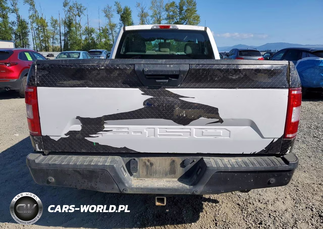 2019 Ford F150 VIN:1FTMF1CP7KKC51989 - 6