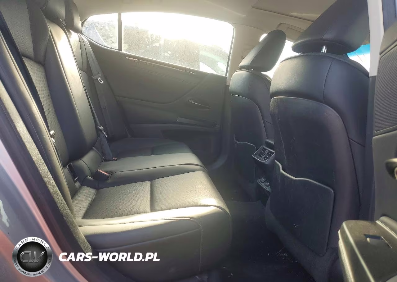 2020 Lexus Es 350 VIN:58ADZ1B19LU063277 - 10