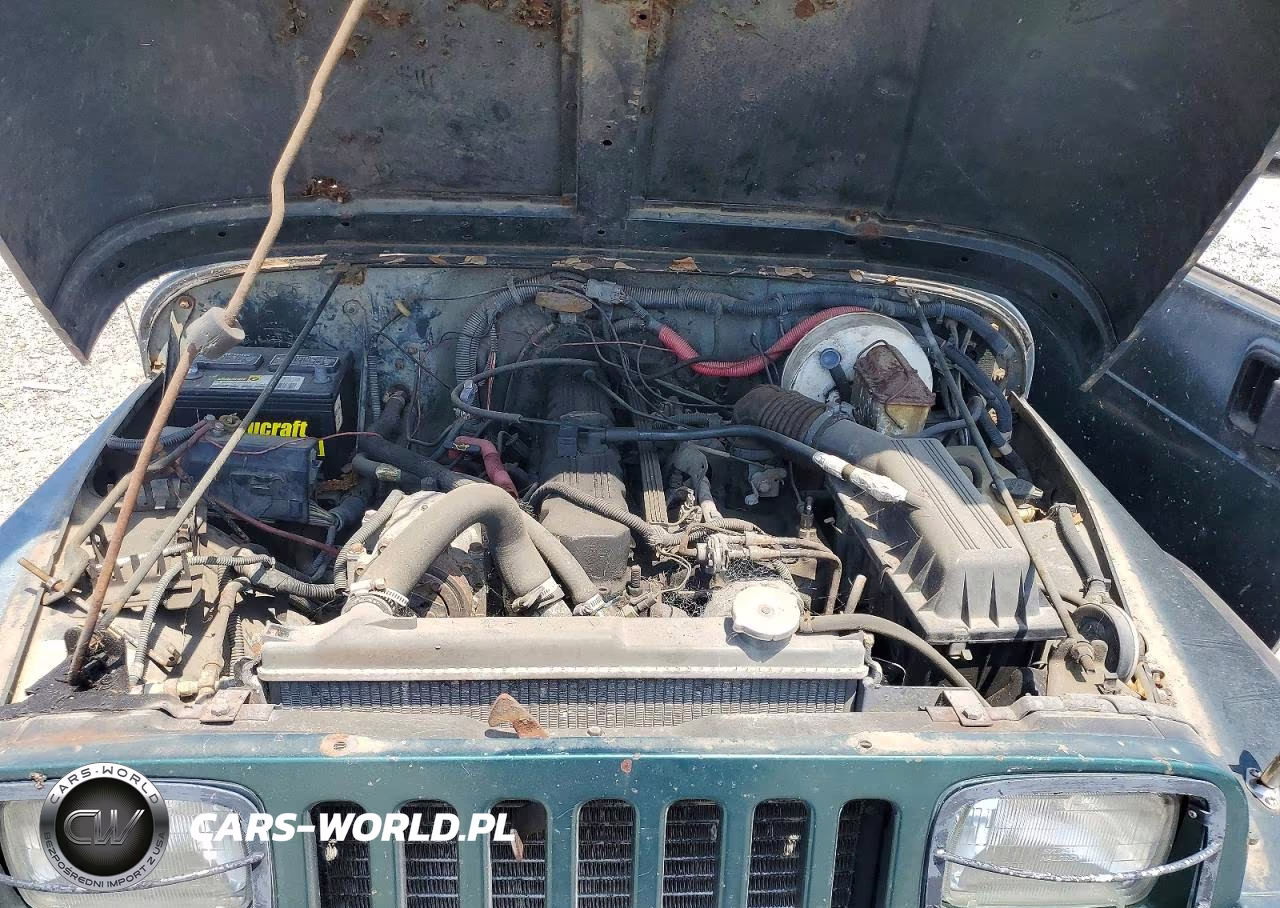 1994 Jeep Wrangler - Yj Sahara VIN:1J4FY49S0RP459073 - 11