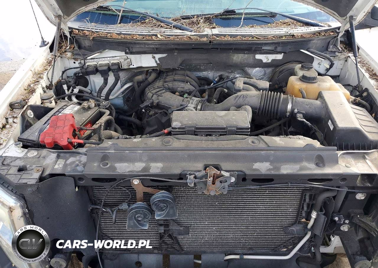 2013 Ford F150 VIN:1FTMF1CM1DKF87310 - 11