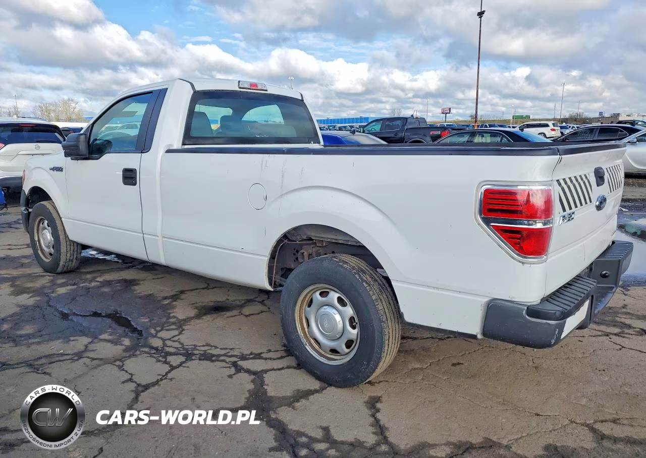 2013 Ford F150 VIN:1FTMF1CM1DKF87310 - 2