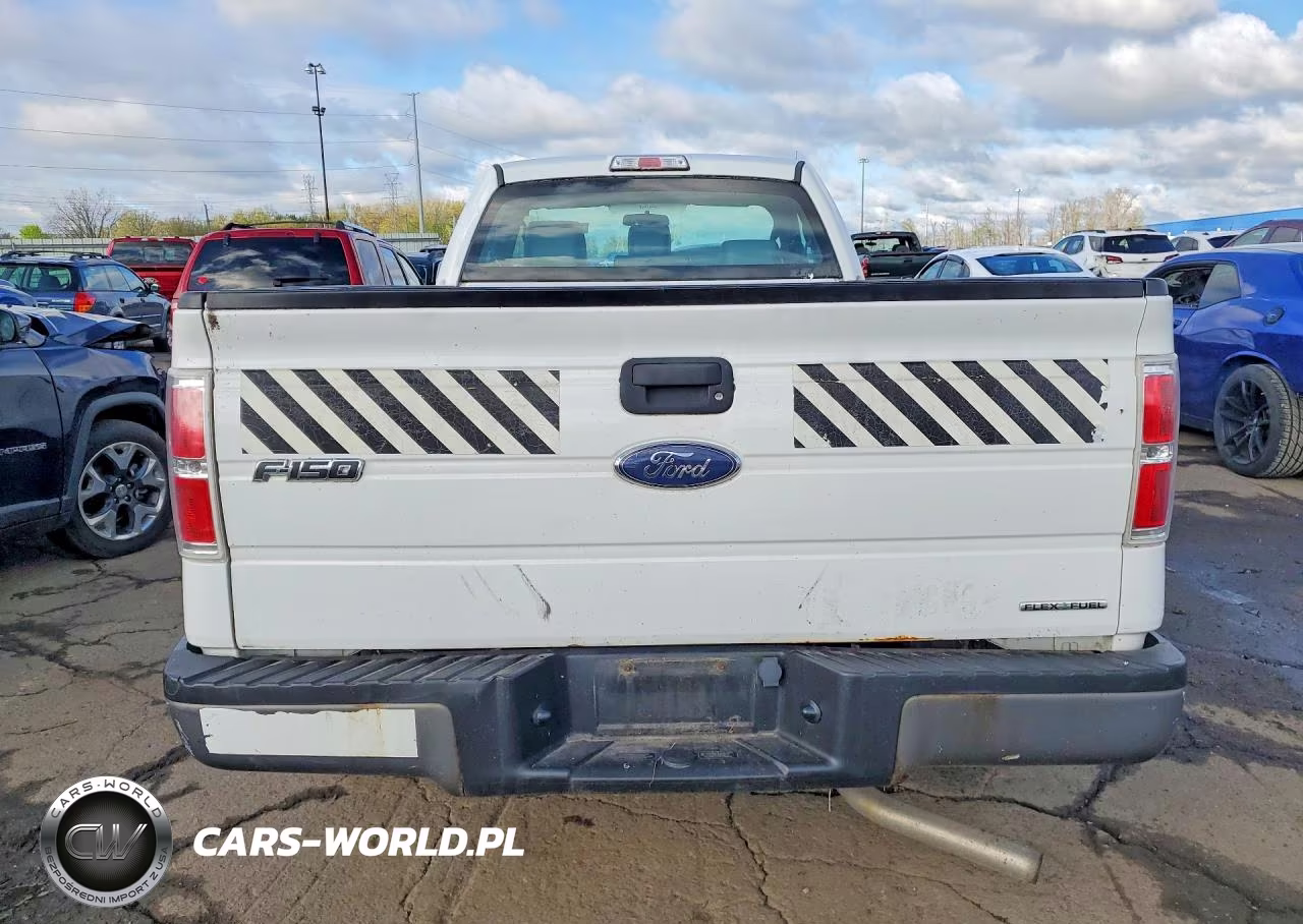 2013 Ford F150 VIN:1FTMF1CM1DKF87310 - 6