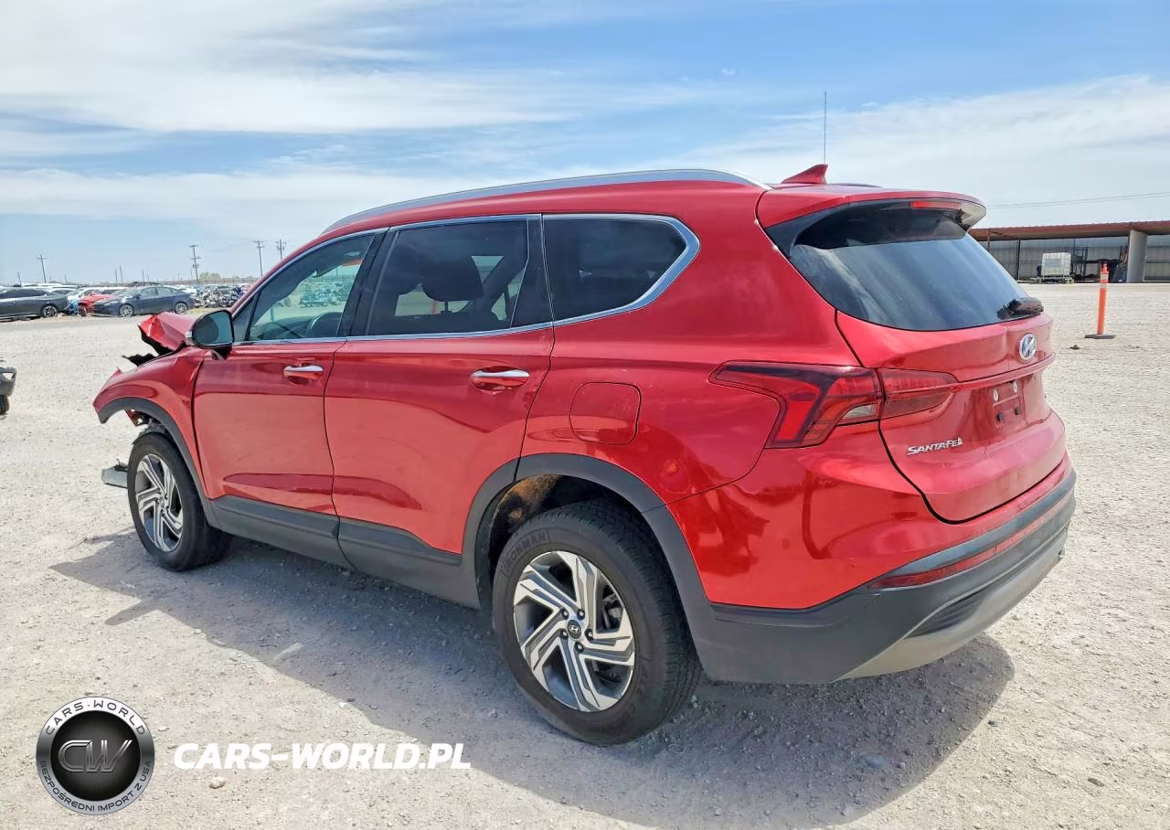 2023 Hyundai Santa Fe Sel VIN:5NMS2DAJ7PH523060 - 2