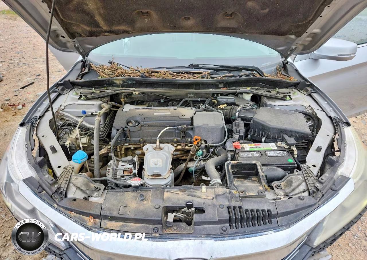 2017 Honda Accord Exl VIN:1HGCR2F82HA099374 - 11